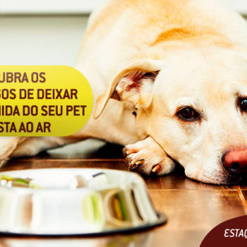Perigos de deixar a ração do seu pet exposta ao ar!