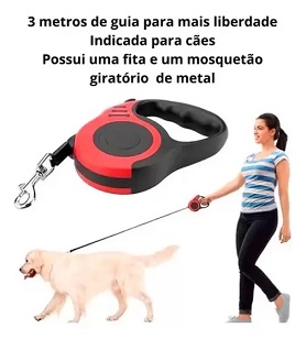 sigapinguim-576724.jpeg