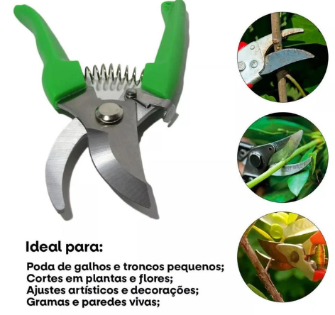sigapinguim-988264.png